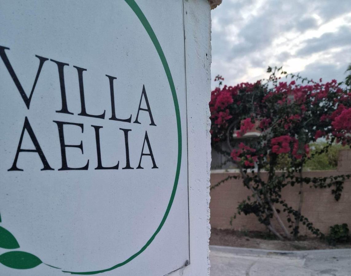 Aelia House Kefalos - Cozy & Quiet Екстериор снимка